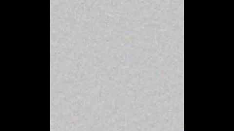 Alisse online show from February 19, 2026, 12:01 pm