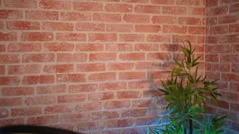 Allie online show from December 21, 2024, 9:01 am