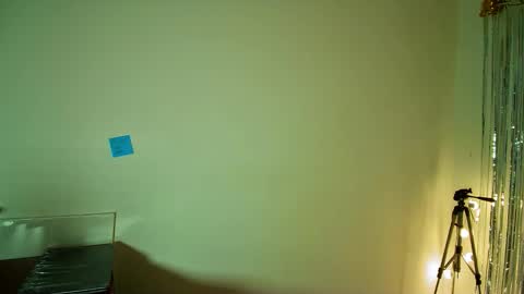 Alli online show from November 7, 2025, 4:45 am