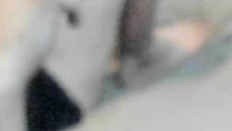 allways395 online show from October 25, 2025, 5:04 am