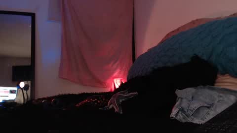 Ally online show from February 16, 2025, 12:52 am