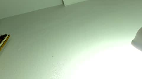 Snapshot of allyroux chatting on April 9, 2026, 12:32 pm Ally online show from April 9, 2026, 12:32 pm