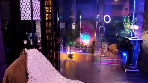 Alma online show from April 18, 2026, 10:30 am