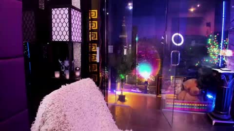 Snapshot of alma_pearl chatting on May 17, 2026, 9:38 am Alma online show from May 17, 2026, 9:38 am