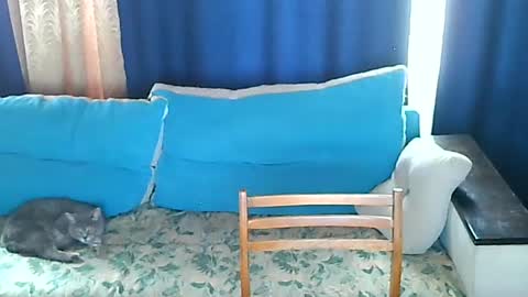 Snapshot of almirsex chatting on June 28, 2026, 9:15 am almirsex online show from June 28, 2026, 9:15 am