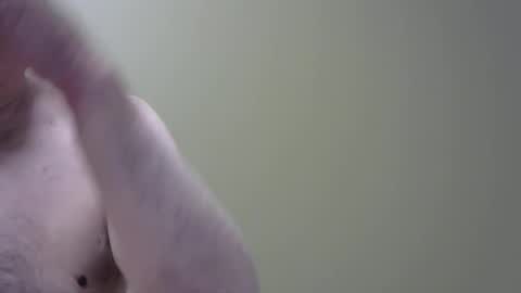 Snapshot of altoplay69 chatting on June 8, 2026, 1:28 am altoplay69 online show from June 8, 2026, 1:28 am
