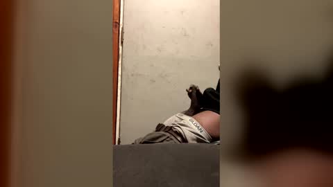 Snapshot of alwayshorny240177 chatting on February 13, 2026, 4:47 pm alwayshorny240177 online show from February 13, 2026, 4:47 pm