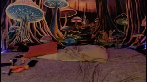 Snapshot of alyssaarcane chatting on April 1, 2026, 12:55 am alyssaarcane online show from April 1, 2026, 12:55 am