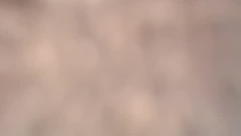 Snapshot of amadamar chatting on March 6, 2026, 2:24 pm valentia online show from March 6, 2026, 2:24 pm