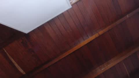   online show from September 17, 2025, 11:12 am