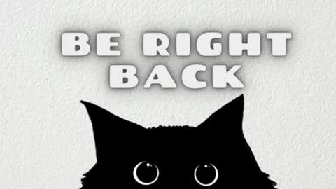 AmbarSantany  online show from February 24, 2025, 11:30 pm