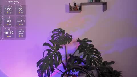 Vivi  online show from January 12, 2026, 4:50 am