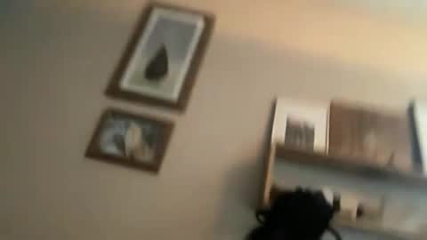 Snapshot of ambermoss7 chatting on June 10, 2026, 3:44 pm ambermoss7 online show from June 10, 2026, 3:44 pm