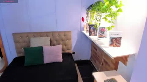 Amelia Adams online show from July 10, 2026, 12:08 pm