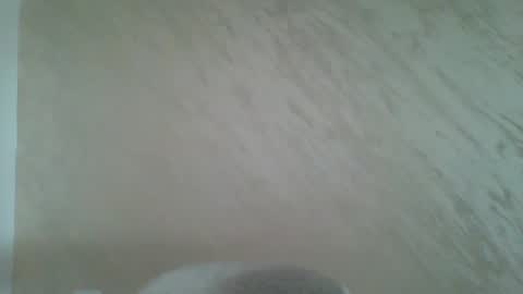 VelvetVibe online show from May 4, 2026, 7:48 am