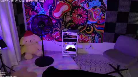 Snapshot of amphetameme chatting on June 14, 2026, 2:24 am sierra online show from June 14, 2026, 2:24 am