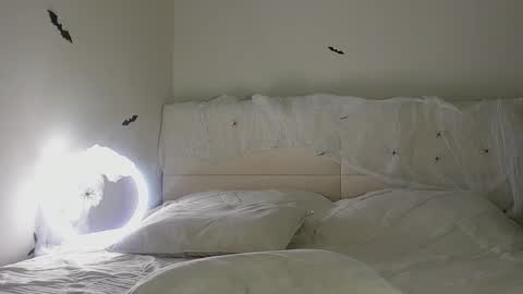 amy1_1 online show from October 31, 2025, 1:39 am