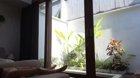 Snapshot of amyalwayshere chatting on March 3, 2025, 7:54 am girl next door named Amy online show from March 3, 2025, 7:54 am
