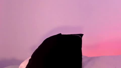 ANABEL WOLF  online show from February 11, 2025, 1:10 am