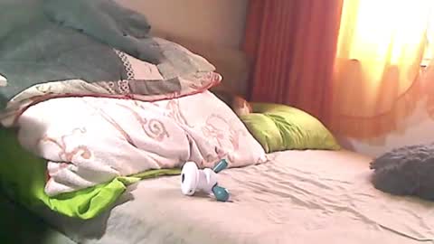 anaiserebel online show from November 12, 2025, 7:09 am