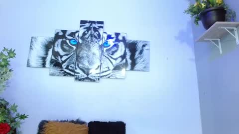 Analia online show from February 1, 2025, 5:05 pm