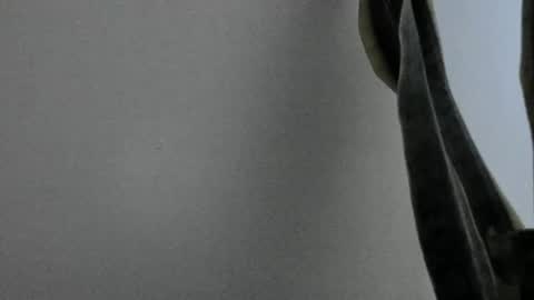 Ana Pakerman online show from February 13, 2025, 1:50 am