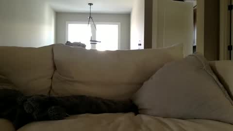 Andees222 online show from December 19, 2025, 4:36 pm