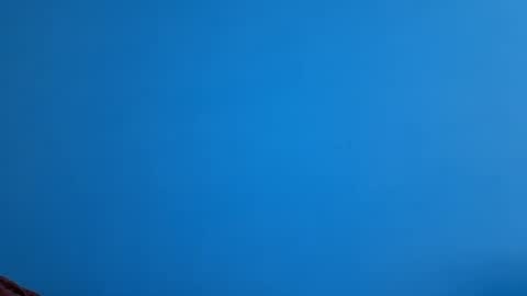 And 16.8 online show from November 21, 2025, 10:36 am