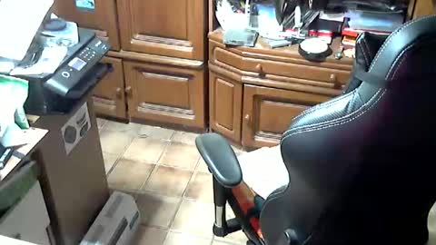 androgynia online show from October 17, 2025, 11:57 am