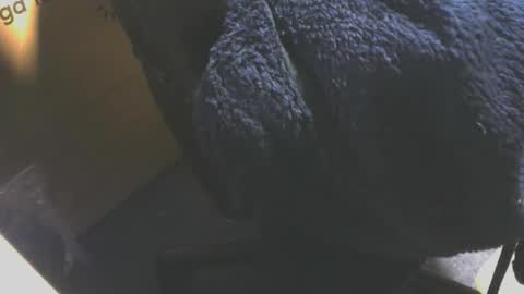 andy503503650759 online show from December 18, 2025, 8:20 am