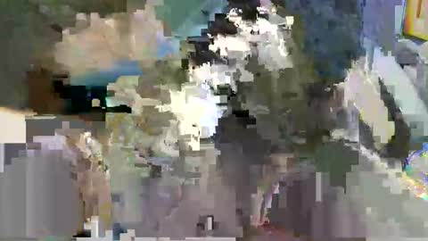 andy503503650759 online show from April 21, 2026, 8:09 am