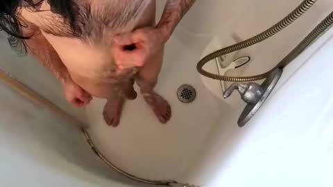 andybadass online show from February 9, 2025, 7:09 pm