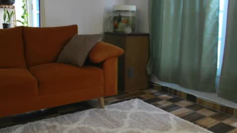 Cherry online show from April 20, 2026, 12:30 pm