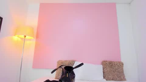 Andy  online show from January 8, 2026, 11:56 am