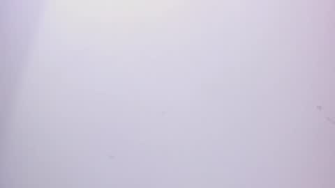 angel hardy online show from February 15, 2025, 3:17 pm