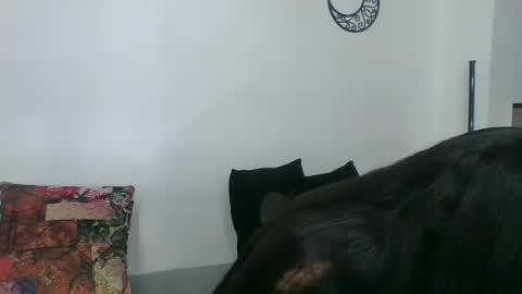  Angela  online show from March 11, 2025, 2:32 am