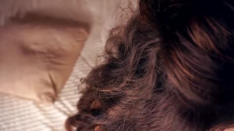 Snapshot of angelicapretybb chatting on January 20, 2025, 10:40 am Angelica online show from January 20, 2025, 10:40 am