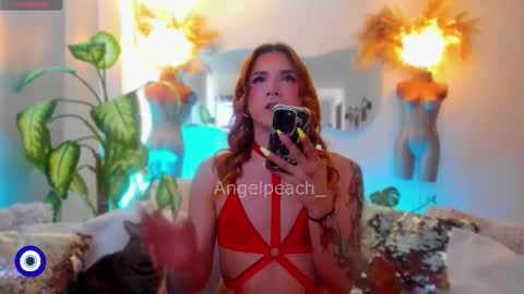 Snapshot of angelpeach_ chatting on December 1, 2025, 12:54 pm Angel online show from December 1, 2025, 12:54 pm