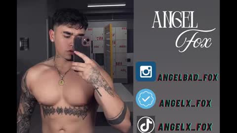 Angel Fox online show from November 8, 2025, 5:40 am