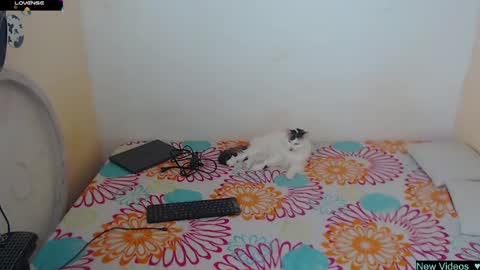 Angie y Andres online show from January 20, 2025, 1:11 pm