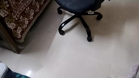 Tutu22 online show from January 10, 2025, 11:39 pm