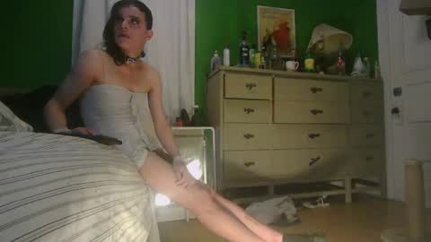 Snapshot of anilyseardor chatting on May 22, 2026, 9:59 am Ani online show from May 22, 2026, 9:59 am