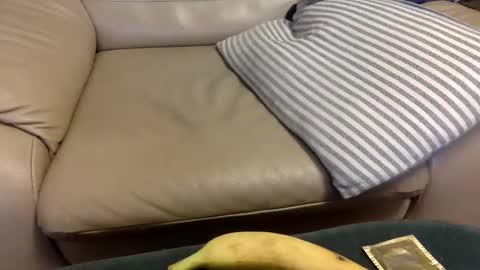 animal_michael online show from December 21, 2024, 3:47 am