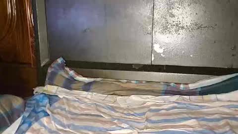 anis4551 online show from January 12, 2026, 8:14 pm