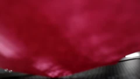 Anna Evodees  online show from December 8, 2024, 7:54 pm