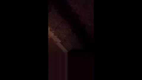 anniebunni online show from February 16, 2026, 5:36 am