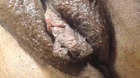 Anny online show from December 21, 2025, 5:53 pm