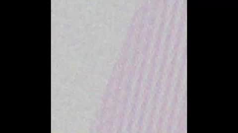 Melani online show from January 19, 2025, 8:51 pm