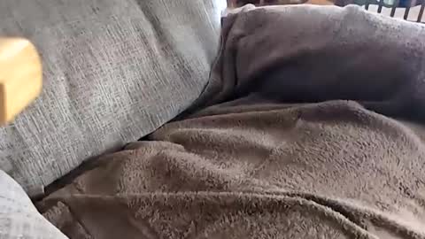 jay online show from November 20, 2025, 4:18 pm