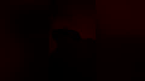 anonomouselee online show from March 16, 2026, 5:24 am